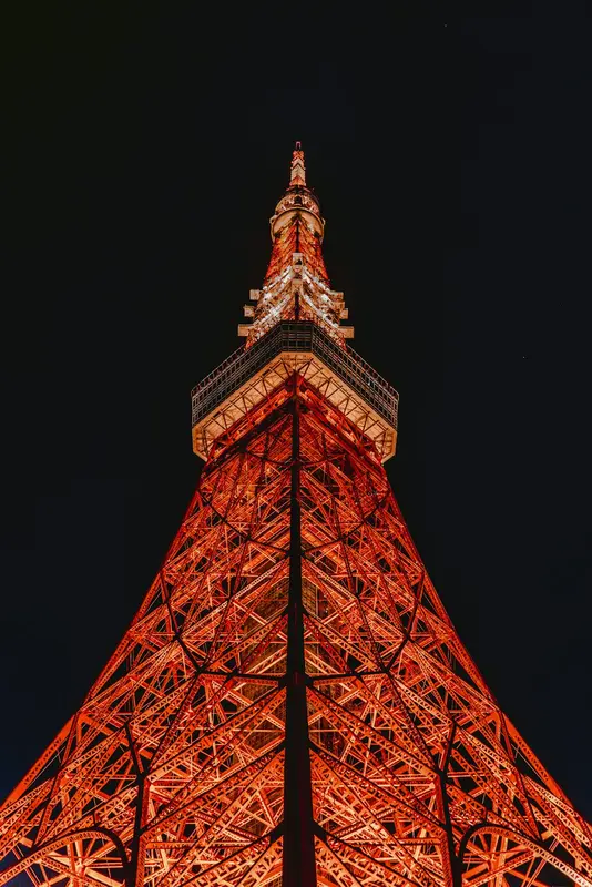 Janice.Tokyo Premium Domain